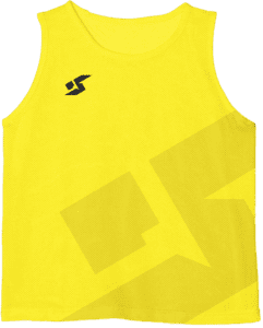 plastrona2